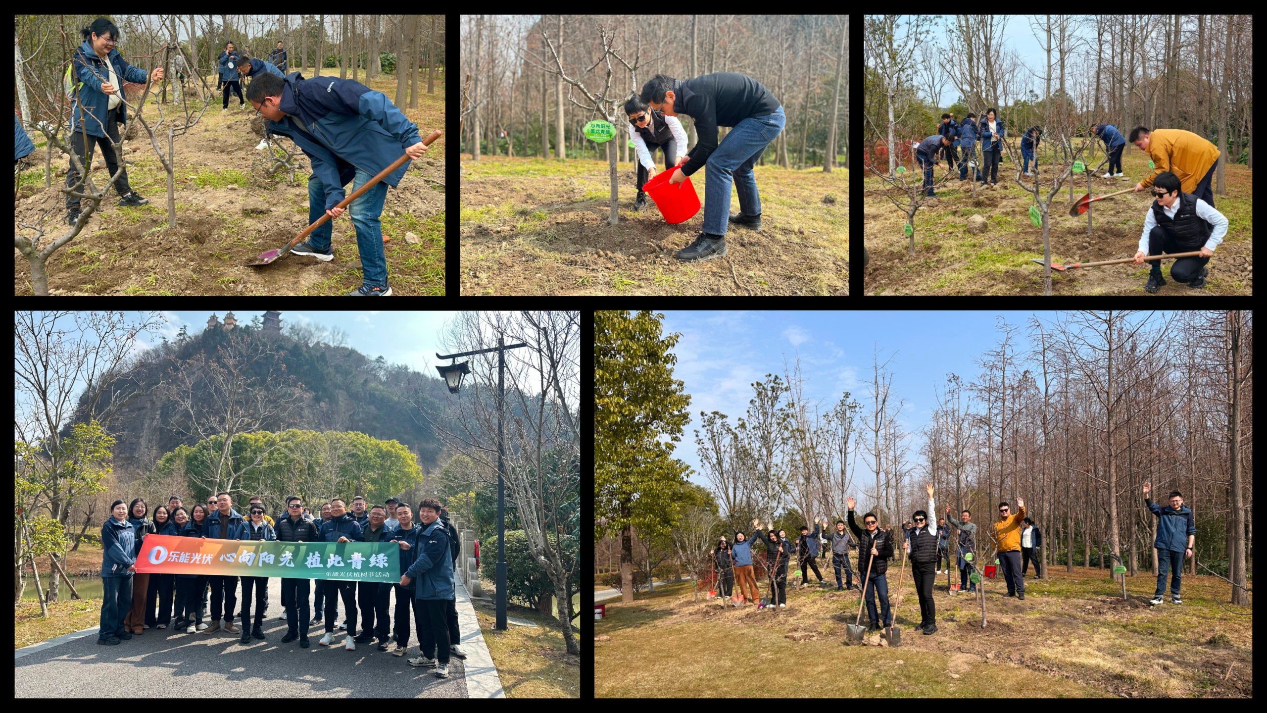 A collage of Luxen Solar employees participating in a tree-planting initiative. The images showcase team members digging, planting saplings, and watering newly planted trees in a green outdoor environment. In one image, a group holds a colorful banner with Chinese text, standing in front of a scenic landscape with a mountain in the background. The team is seen working collaboratively, smiling, and celebrating their efforts to contribute to a greener and more sustainable future.